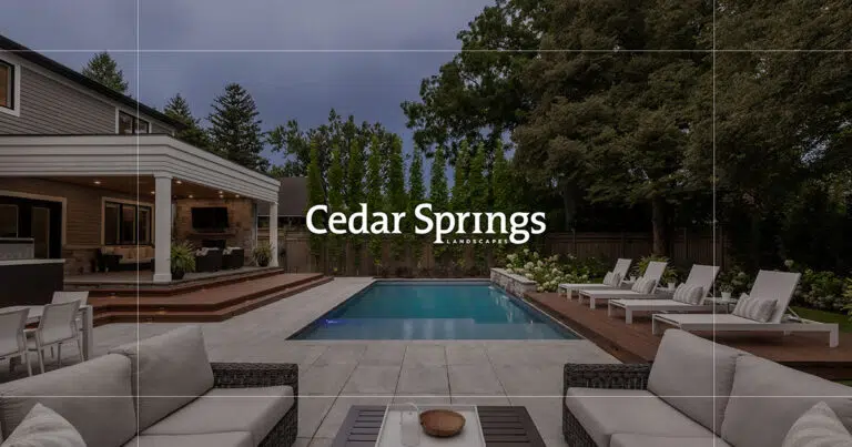 cedar-springs-link-preview-image